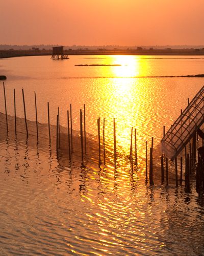 Bình minh phá Tam Giang