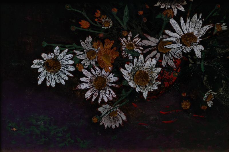 Daisies