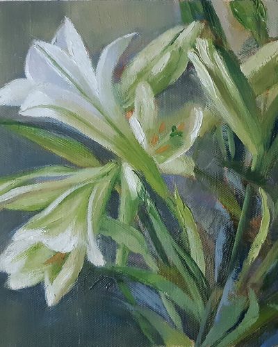 Easter Lilies