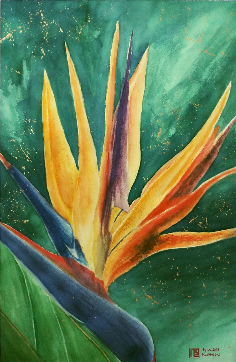 STRELITZIA